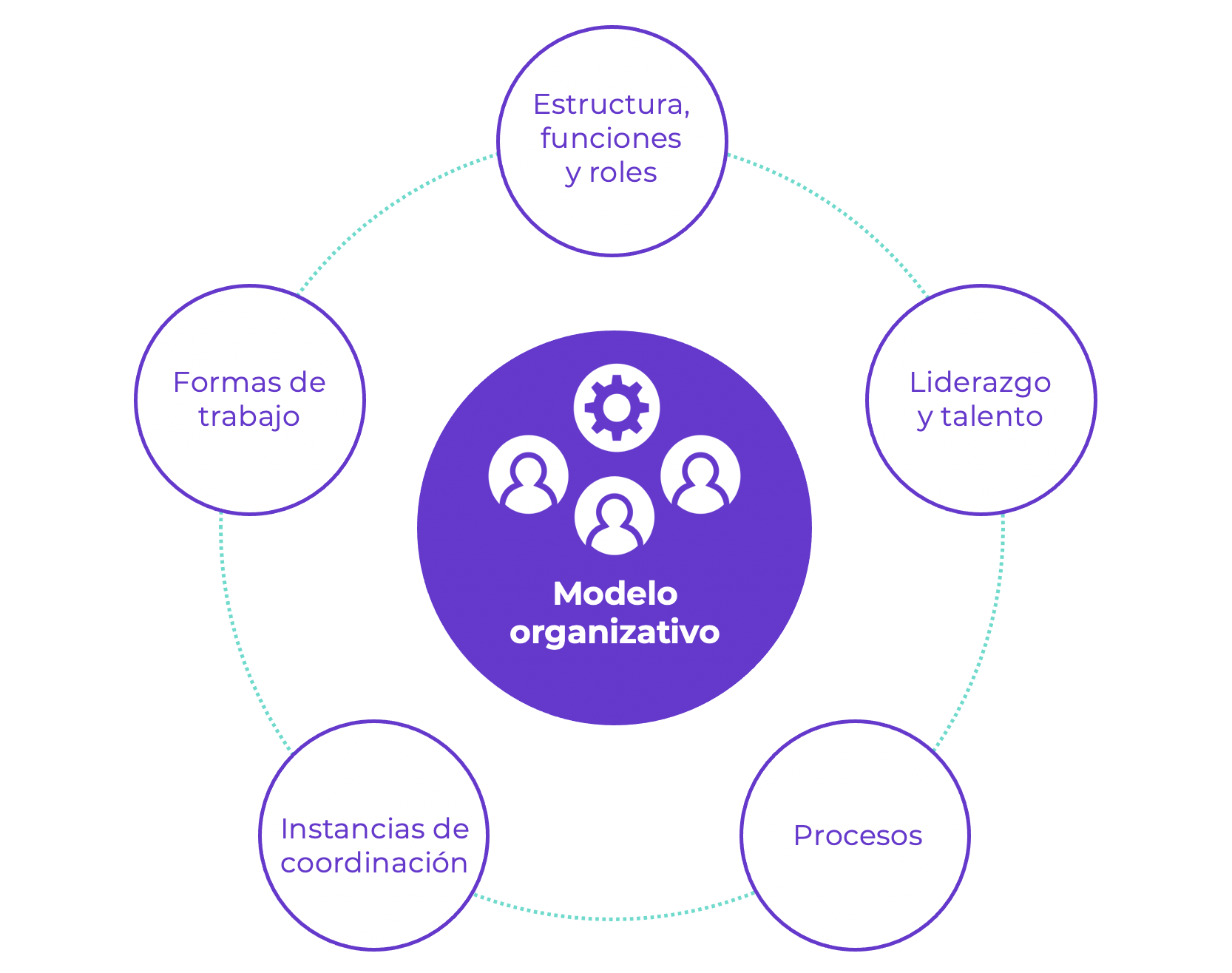 Modelo Organizativo Virtus Partners