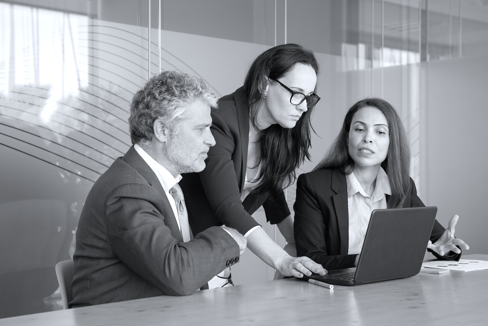 Business group watching presentation