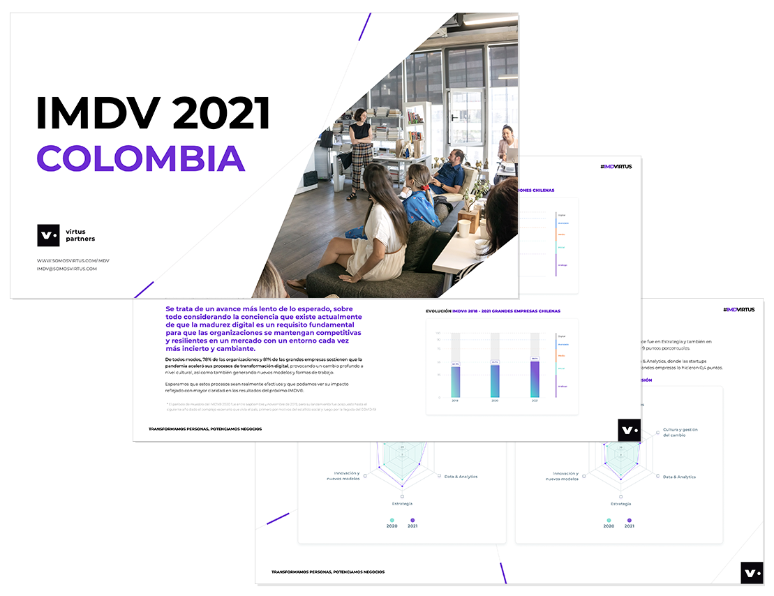 Informe.IMDVCOL.2021