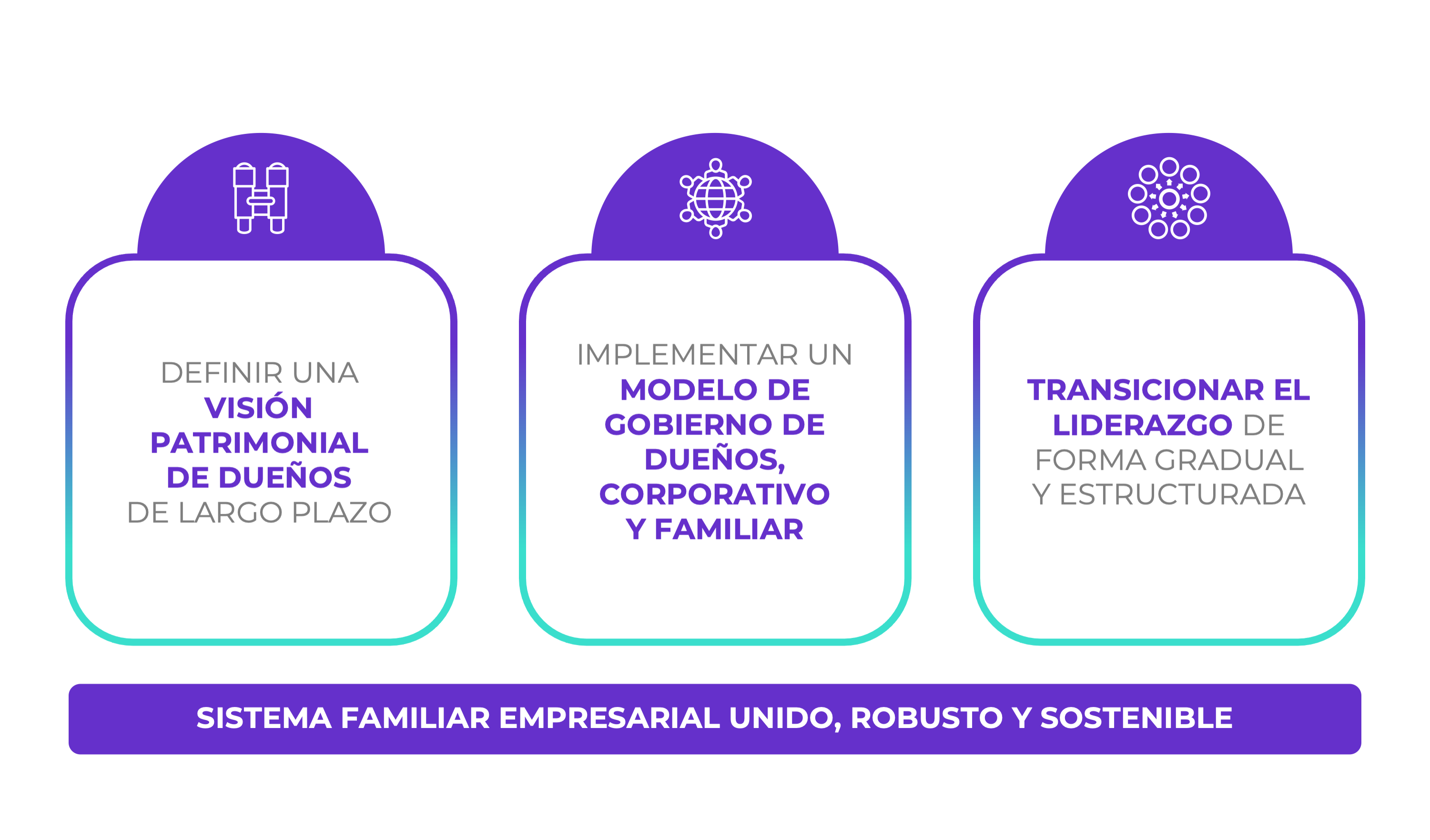 VIRTUS-PARTNERS-Owners-Consulting-sistema-empresarial-familiar-sostenible