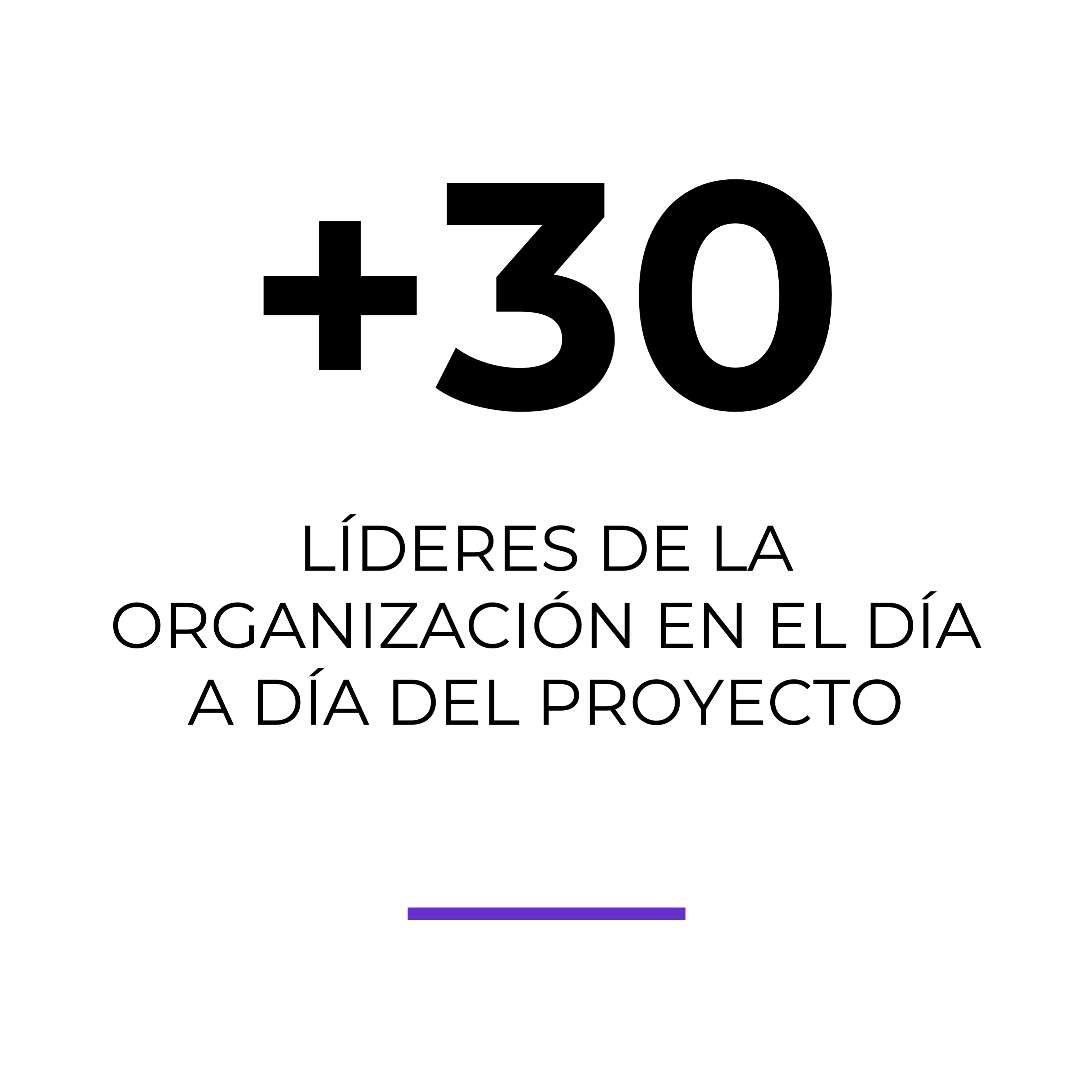 Virtus-Partners-Procurement-30-lideres-involucrados-en-el-proyecto