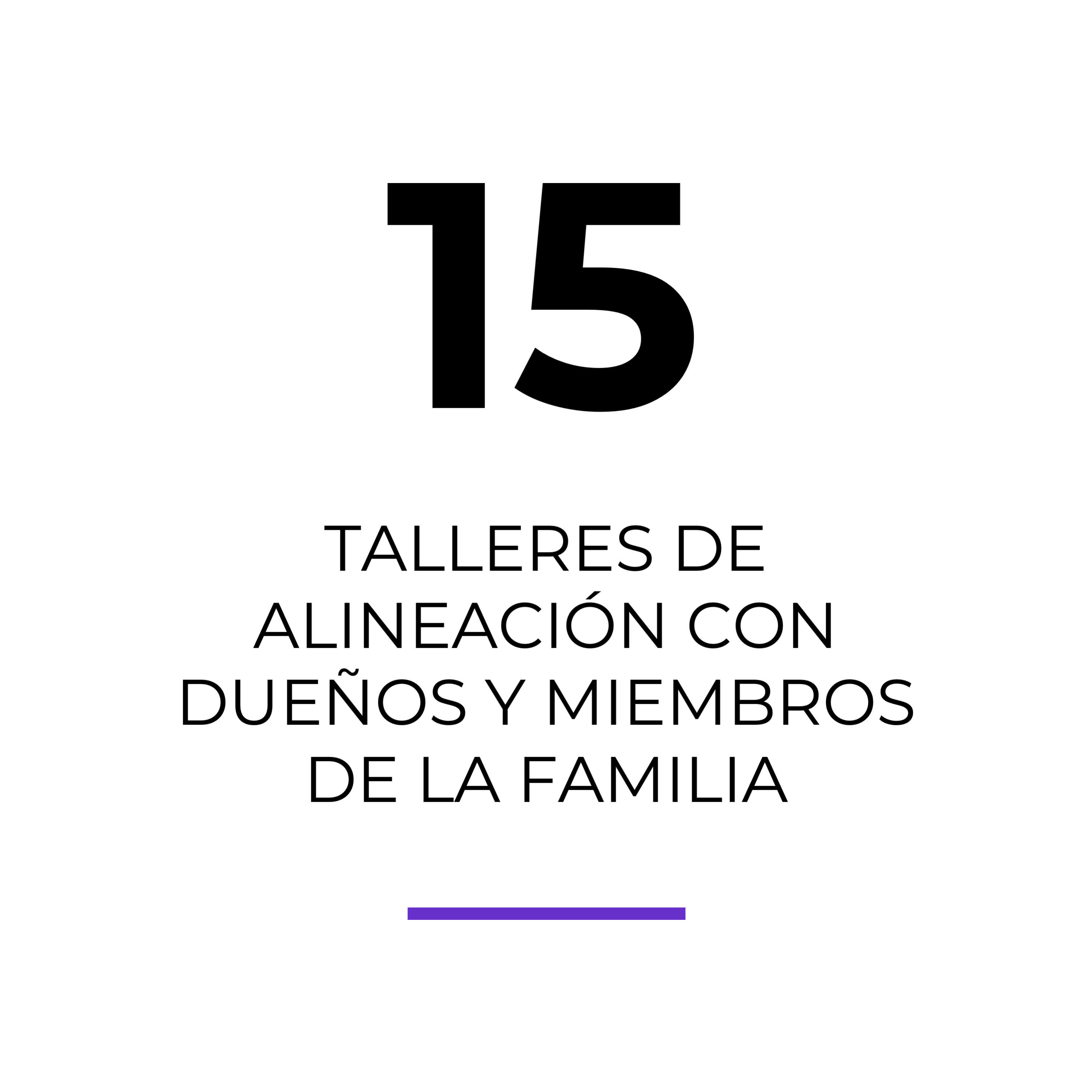 15-talleres-de alineación-participativos-con-dueños-y -miembros-de-la-familia