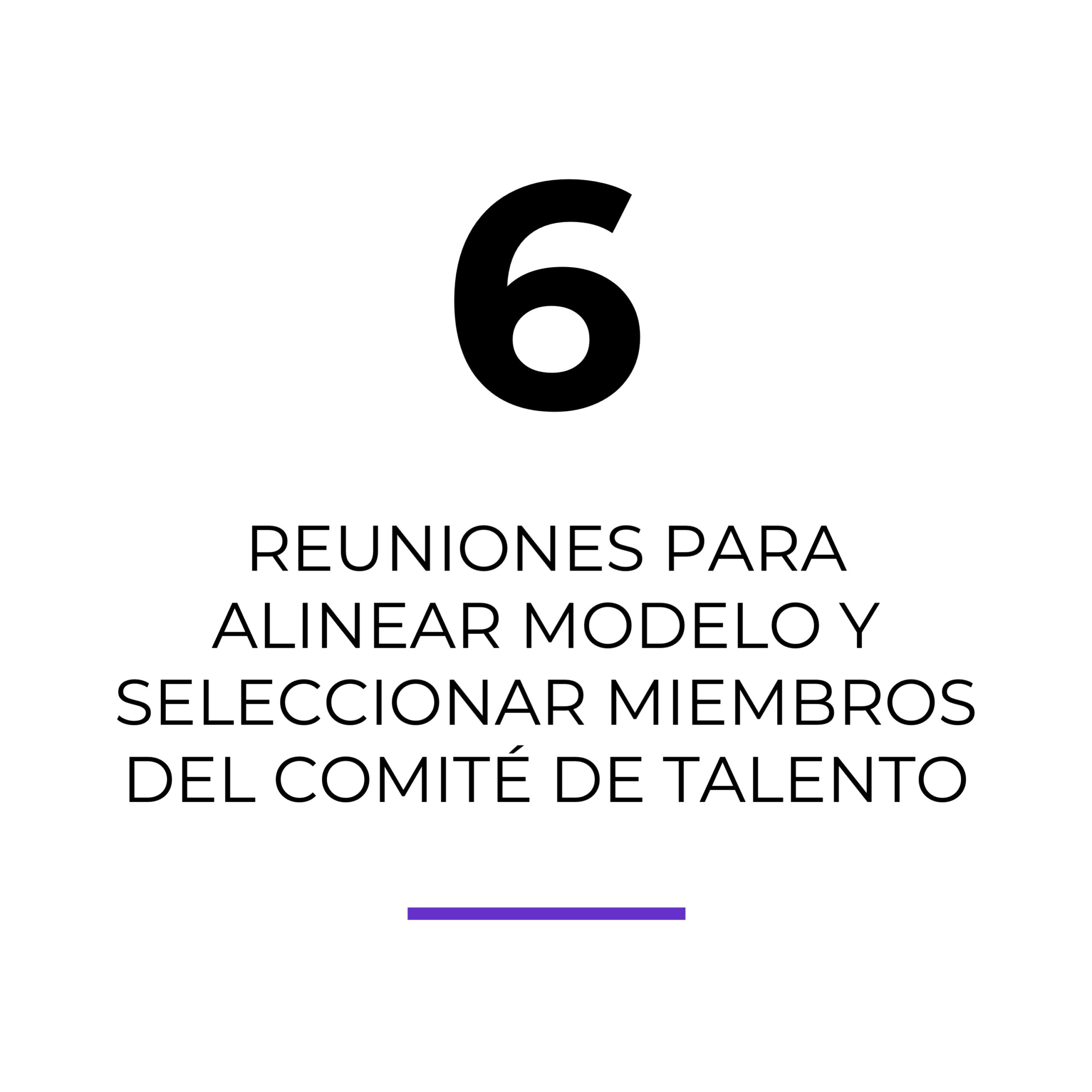 6-reuniones-para-alinear-modelo-y-seleccionar-miembross-del-comité-de-talento