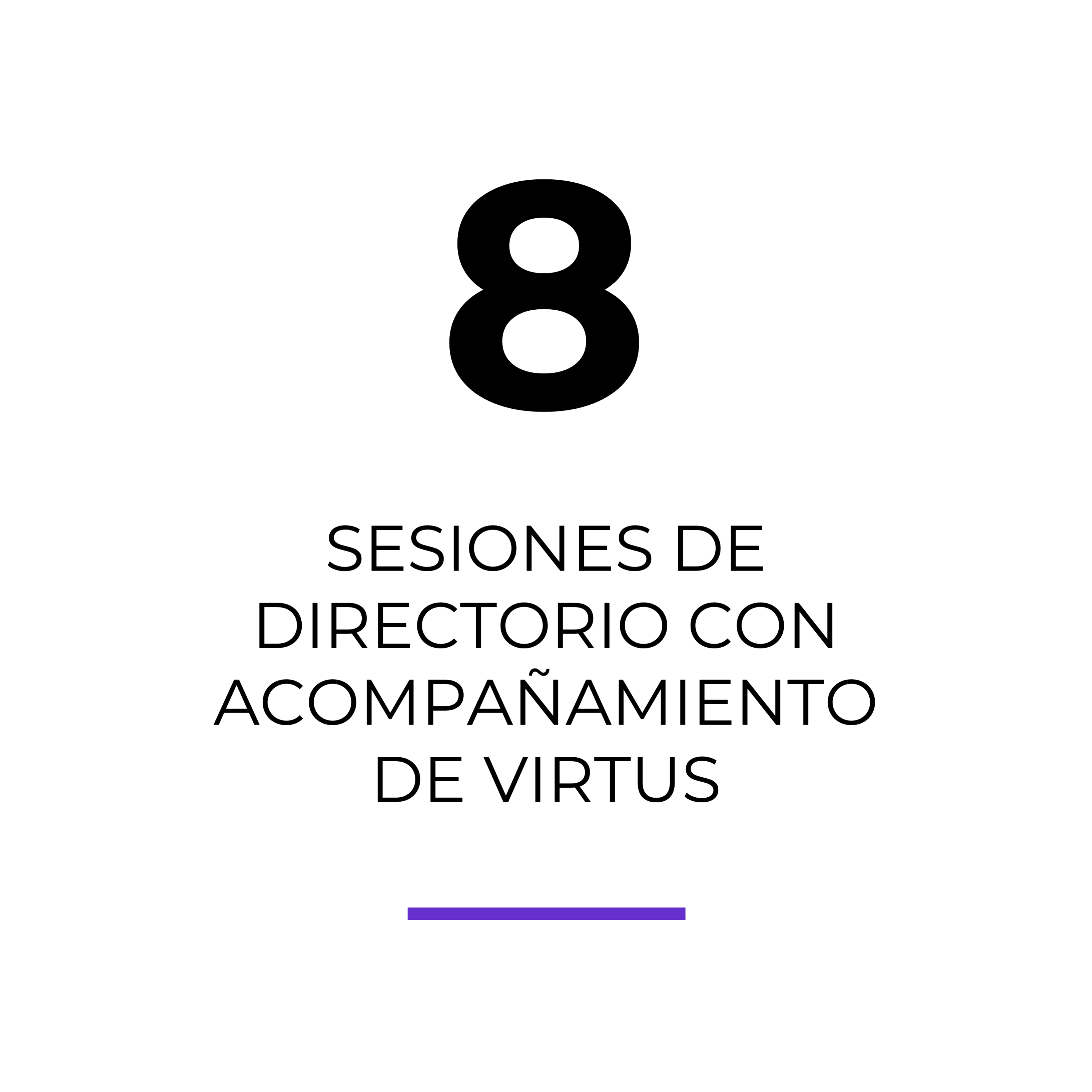 Acompañamiento-a-8-sesiones-del Directorio