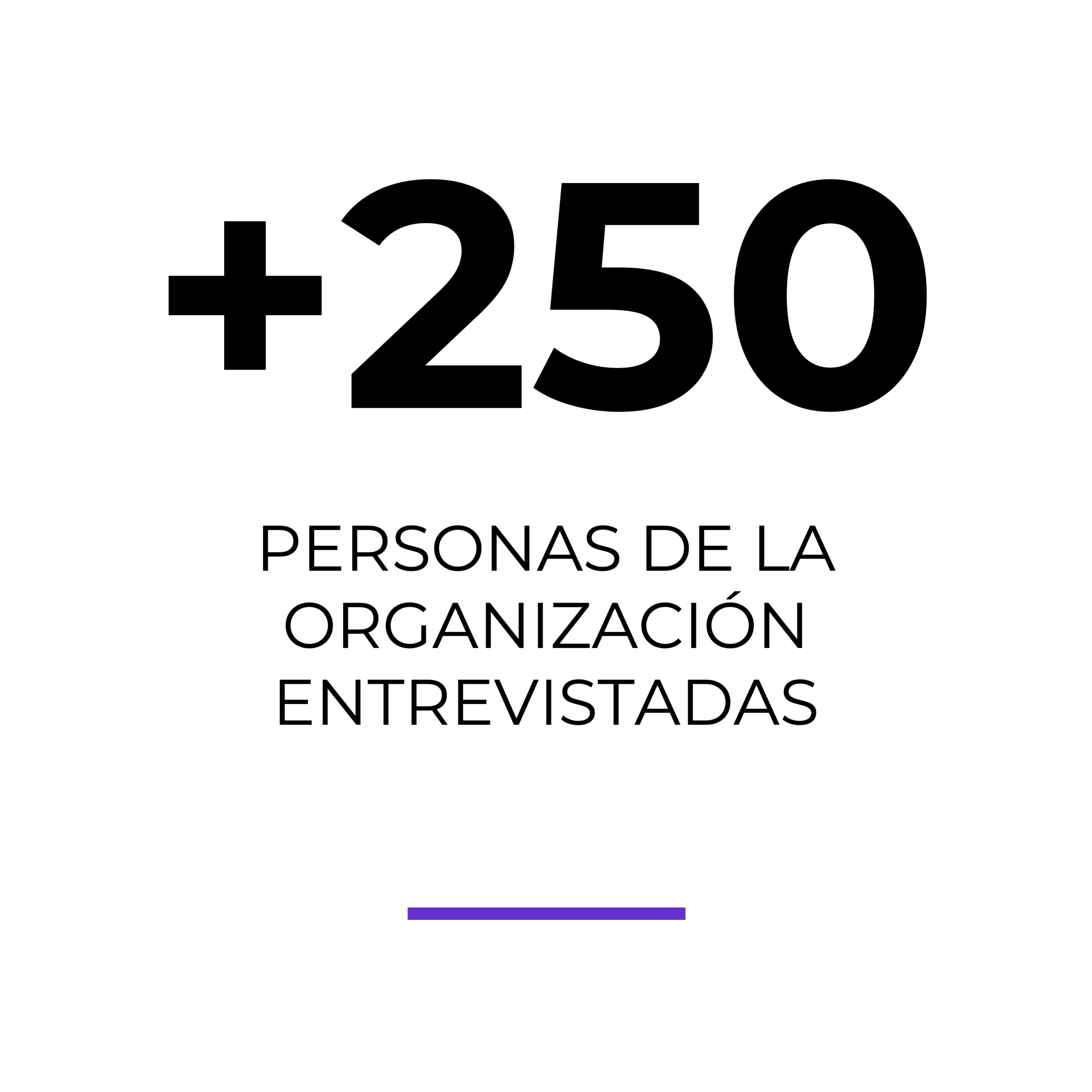 Encuesta-organizativa-a-250-personas