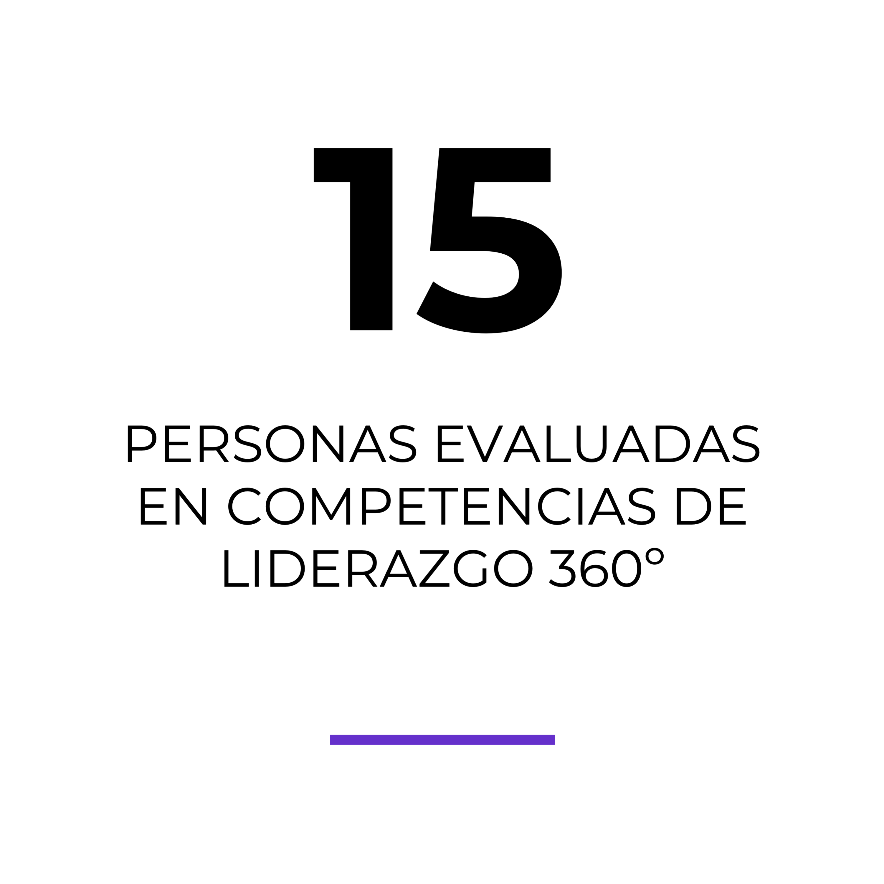 Evaluaciones-de-competencias-de-liderazgo-360-a-15 personas