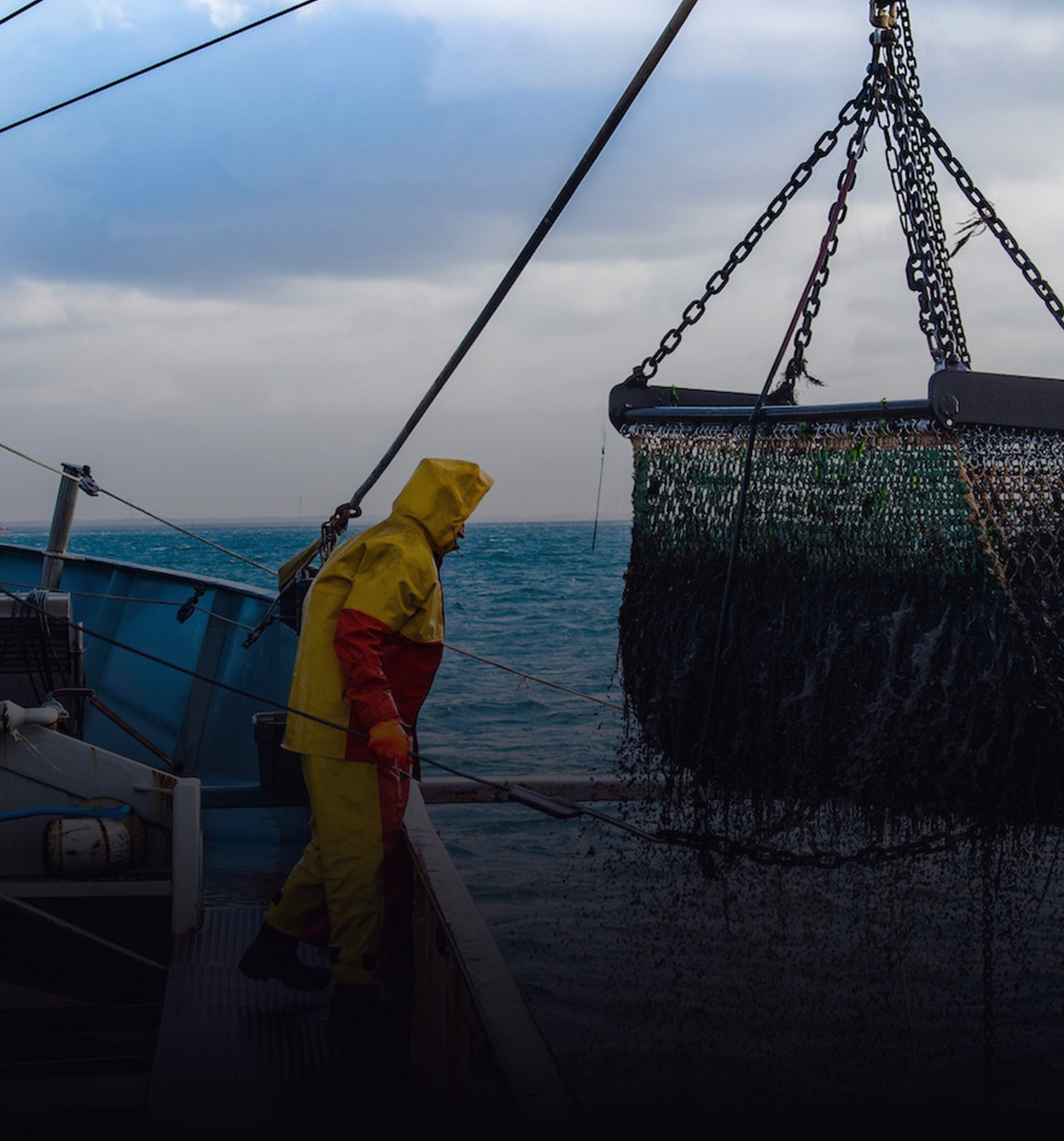 Transición generacional de conglomerado pesquero y de seafood en el Pacífico