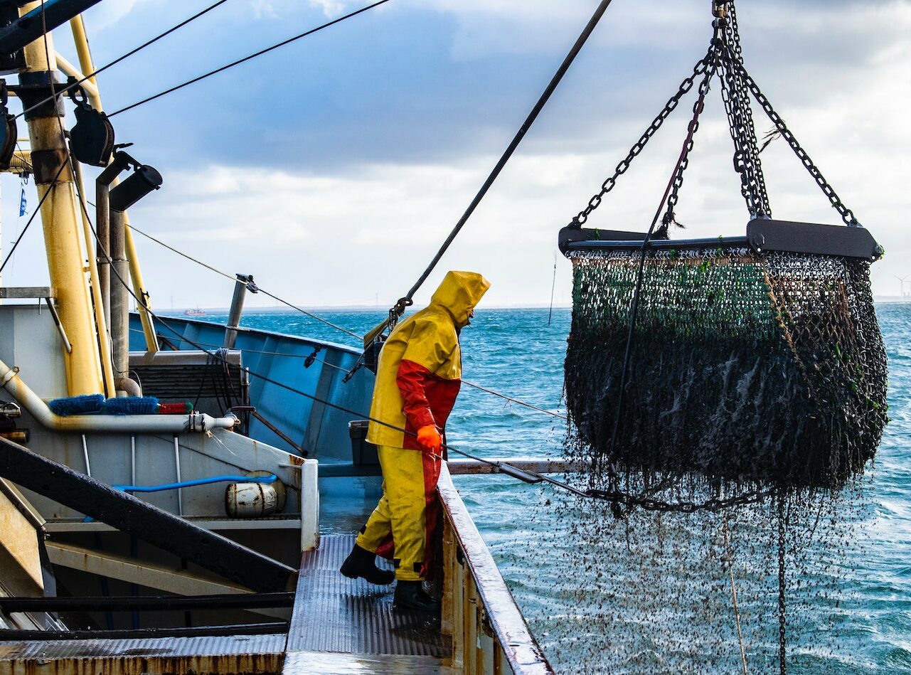 Virtus-Partners-transicion-generacional-de-conglomerado-pesquero-y-de-seafood-en-el-pacifico